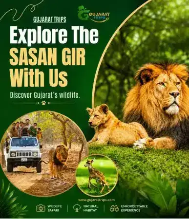 Gujarat Tour Package