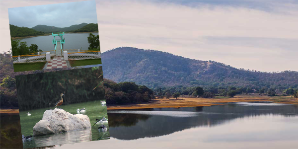 Jambughoda Wildlife Sanctuary
