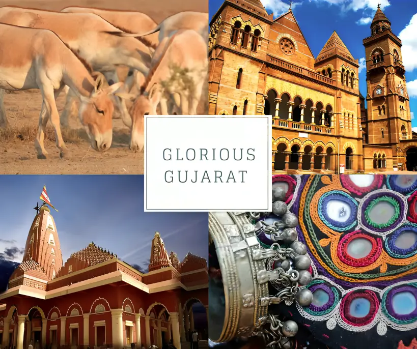 Glorious Gujarat tour