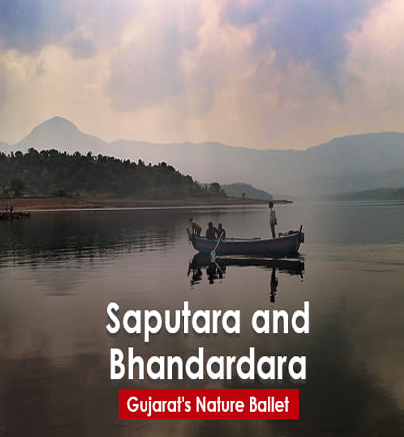 Saputara Bhandardara Tour