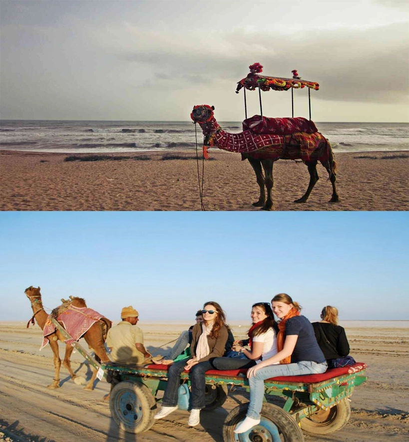 Desert and Beach Tour