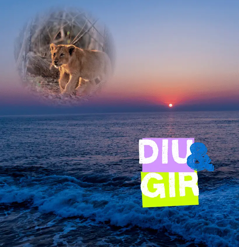 Gir Diu Tour Package