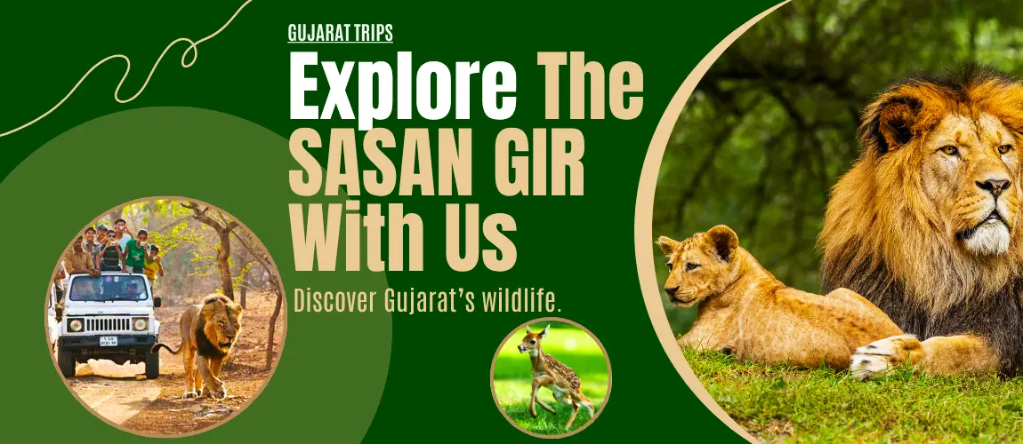 Gujarat Tour Packages