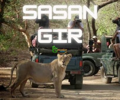 Sasan Gir Tour Package from Rajkot