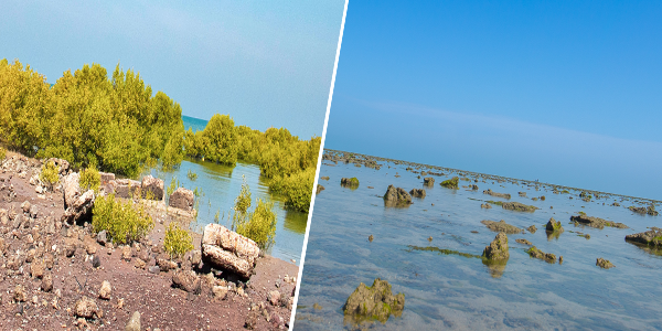 Marine National Park