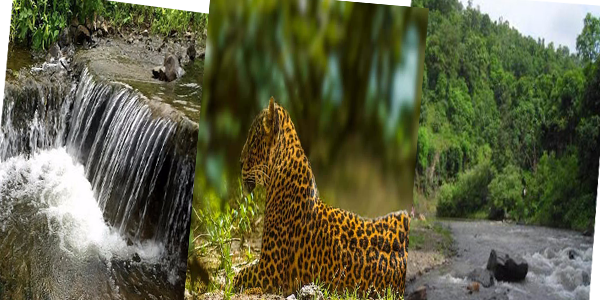 Shoolpaneshwar Wildlife Sanctuary