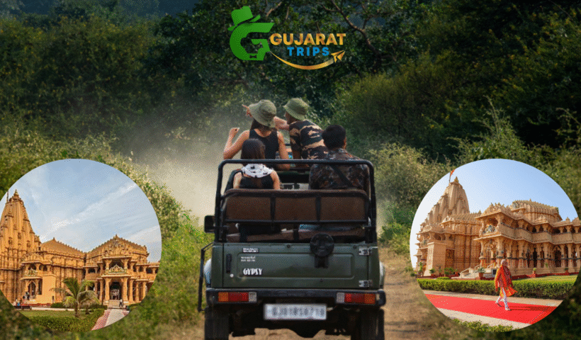 Dwarka Somnath Gir tour package from Mumbai