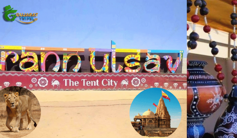 First Trip to Gujarat