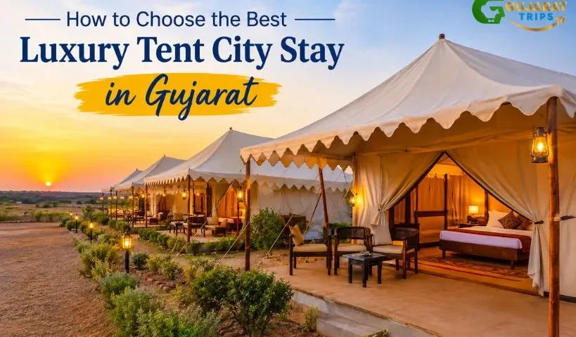 Best Luxury Tent City Stay in Gujarat