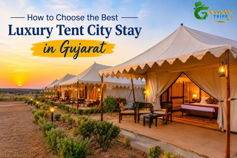 Best Luxury Tent City Stay in Gujarat